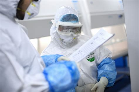 pruebas de que el coronavirus fue creado en china